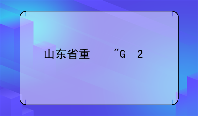 山东省量刑指导