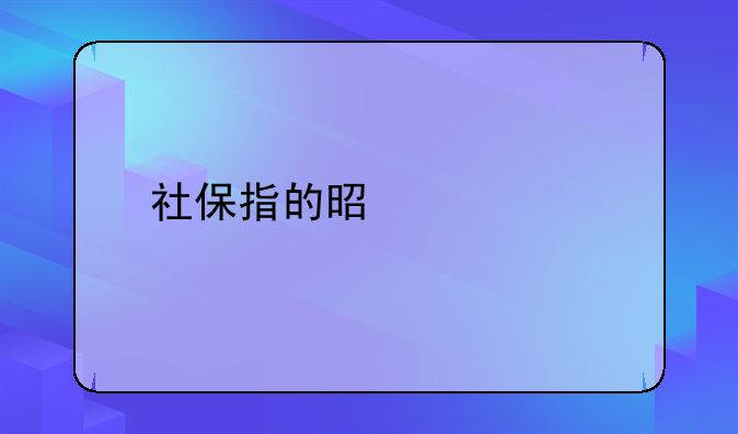 社保指的是什么