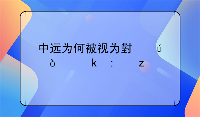 中远为何被视为小微企业探析