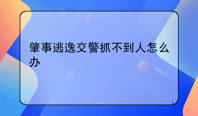 肇事逃逸交警抓不到人怎么办