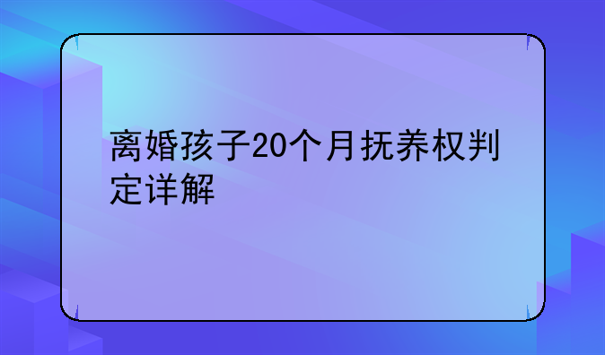 离婚孩子20个月抚养权判定详解