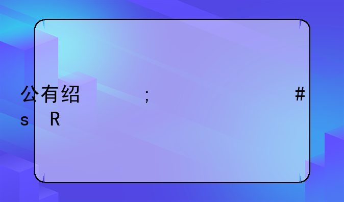 公有经济起什么作用