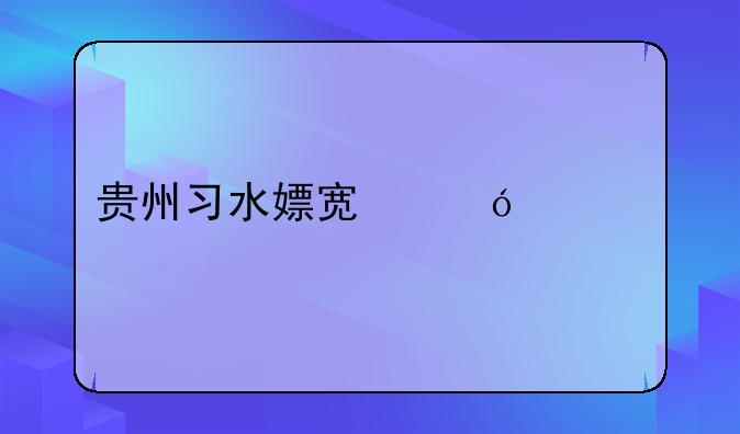 贵州习水嫖宿幼女案