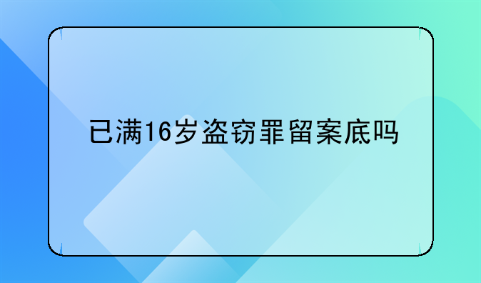 已满16岁盗窃罪留案底吗