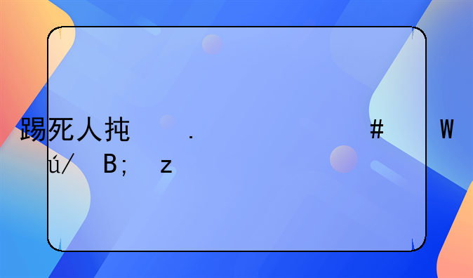 踢死人承担什么法律后果