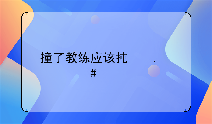 撞了教练应该承担什么责任