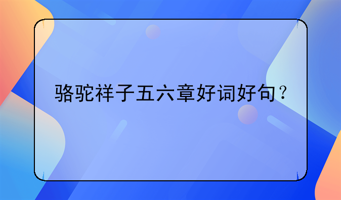 骆驼祥子五六章好词好句？