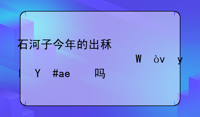 石河子今年的出租车车价如何？生意好吗？