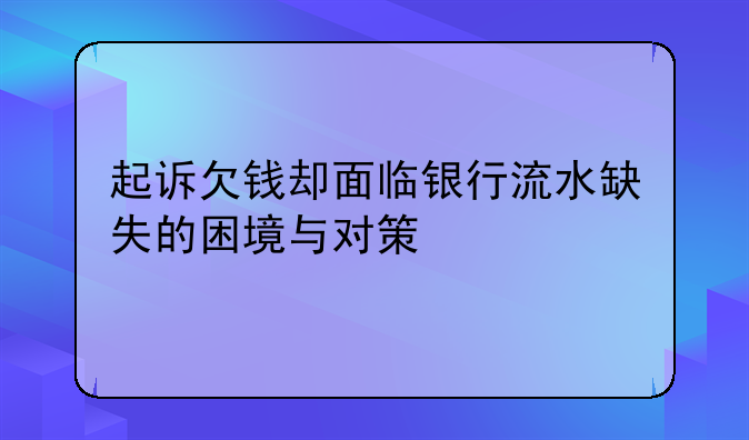 起诉欠钱却面临银行流水缺失的困境与对策