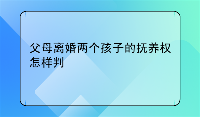 父母离婚两个孩子的抚养权怎样判