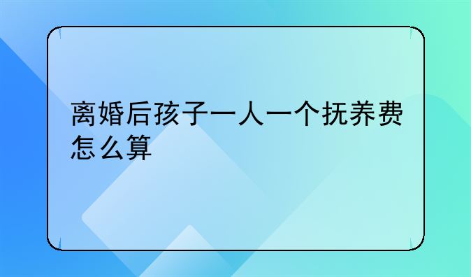 离婚后孩子一人一个抚养费怎么算