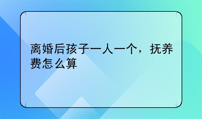 离婚后孩子一人一个，抚养费怎么算