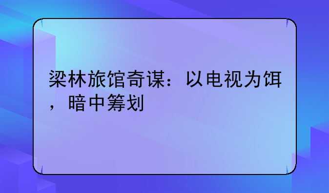 梁林旅馆奇谋：以电视为饵，暗中筹划