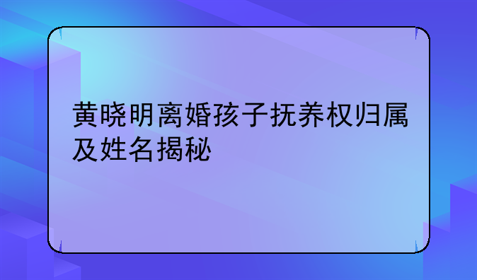 黄晓明离婚孩子抚养权归属及姓名揭秘