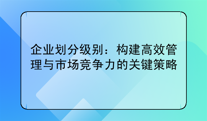 企业划分级别：构建高效管理与市场竞争力的关键策略