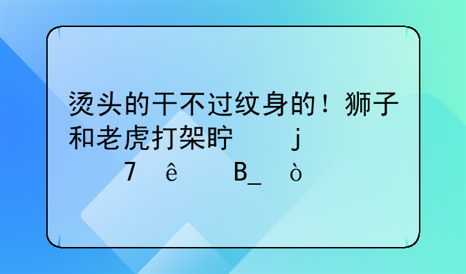 烫头的干不过纹身的！狮子和老虎打架真的赢不了吗？