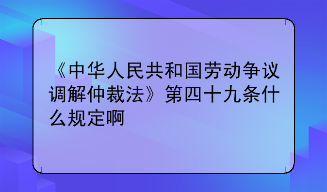 《中华人民共和国劳动争议调解仲裁法》第四十九条什么规定啊