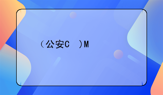 （公安查车追车致车辆撞人?）公安查车吗