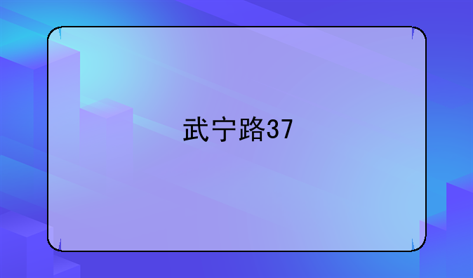 武宁路37